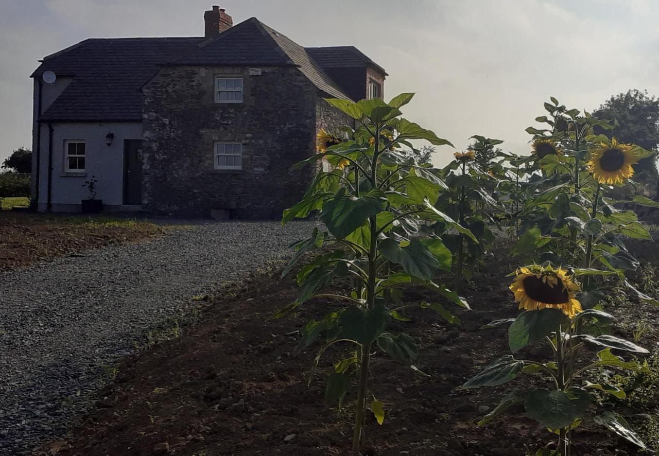 The Shepherd'S Lodge Tullyallen Esterno foto
